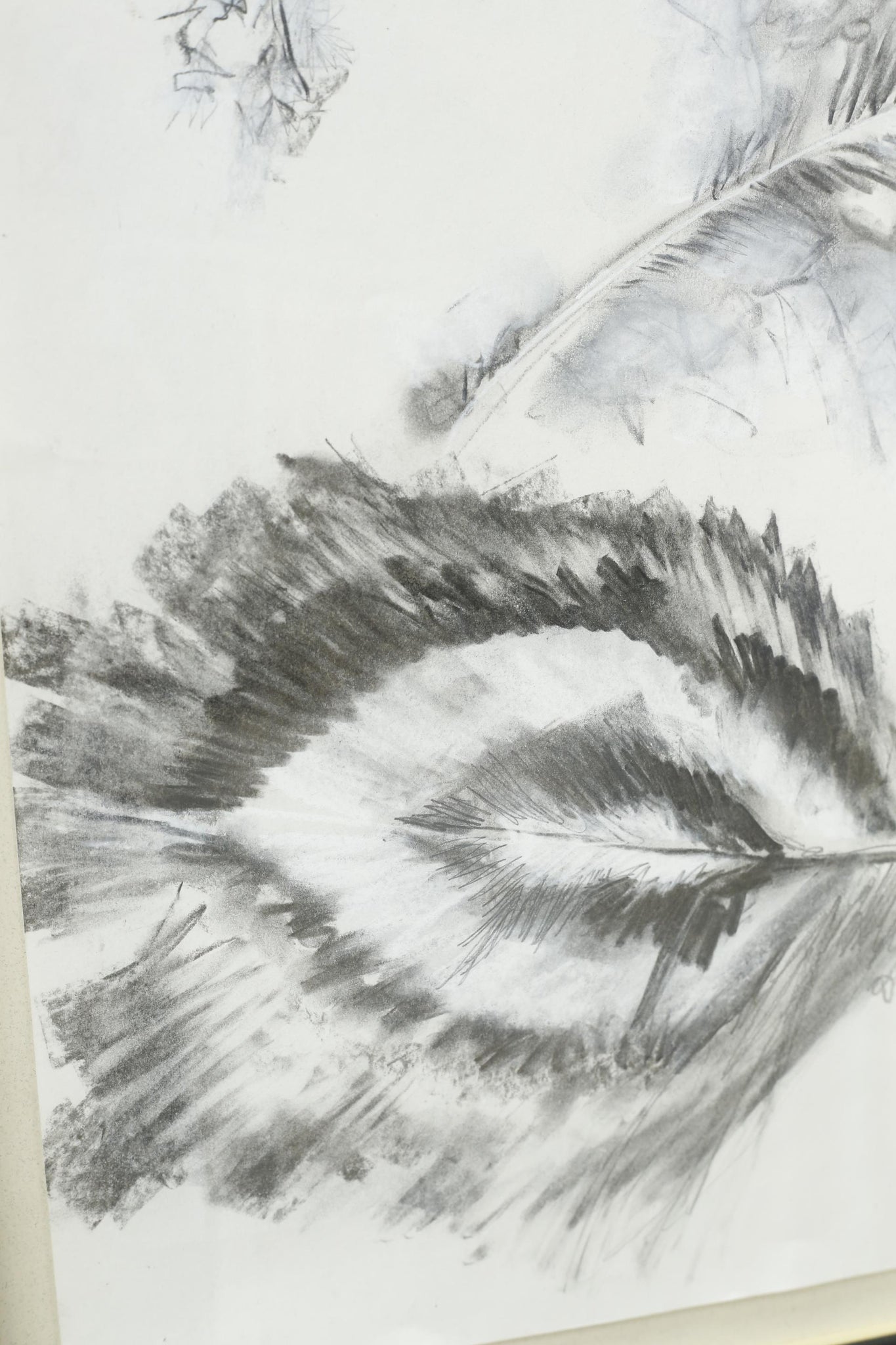 21st century Charcoal and chalk artwork - Feathers 2