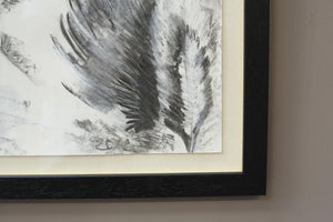 21st century Charcoal and chalk artwork - Feathers 2