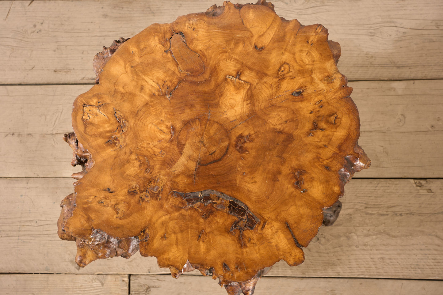 20th century Naturalistic root coffee table