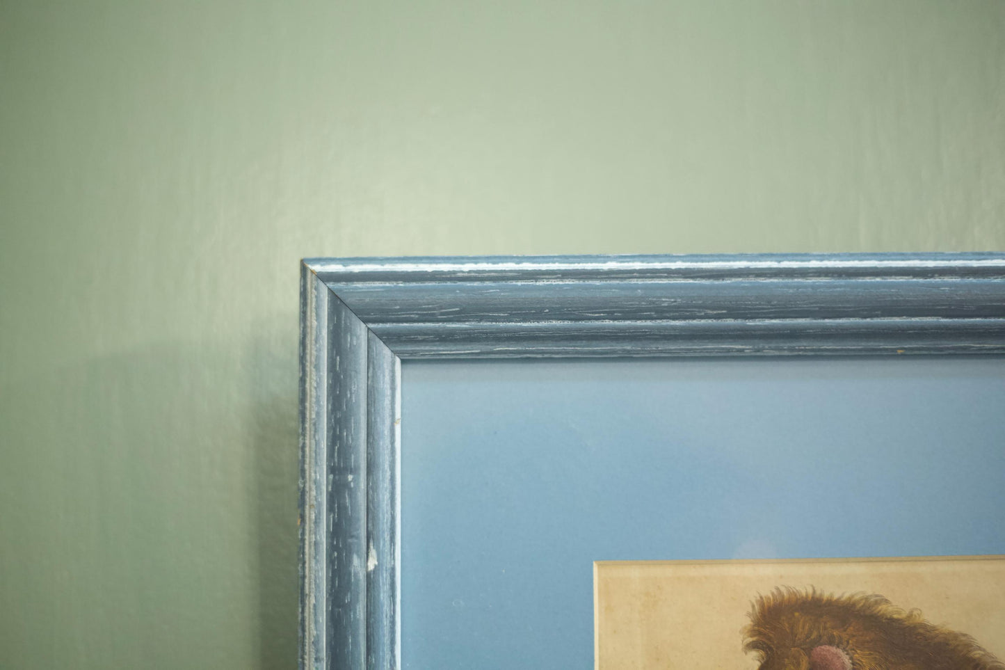 18th century book plate of a lion