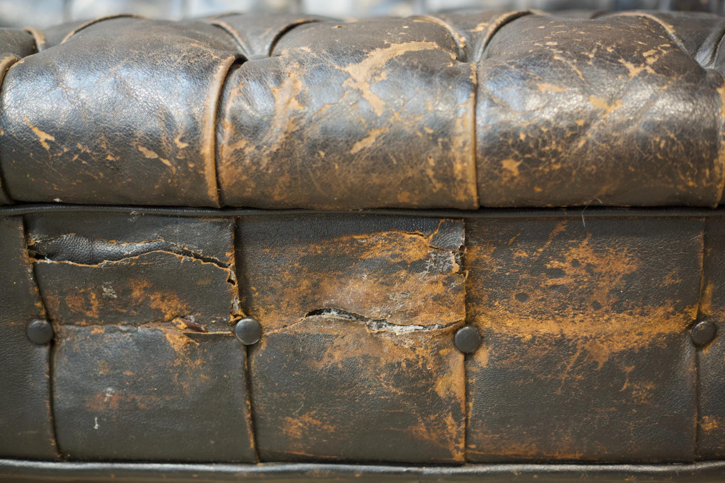 c.1900 buttoned leather chesterfield sofa
