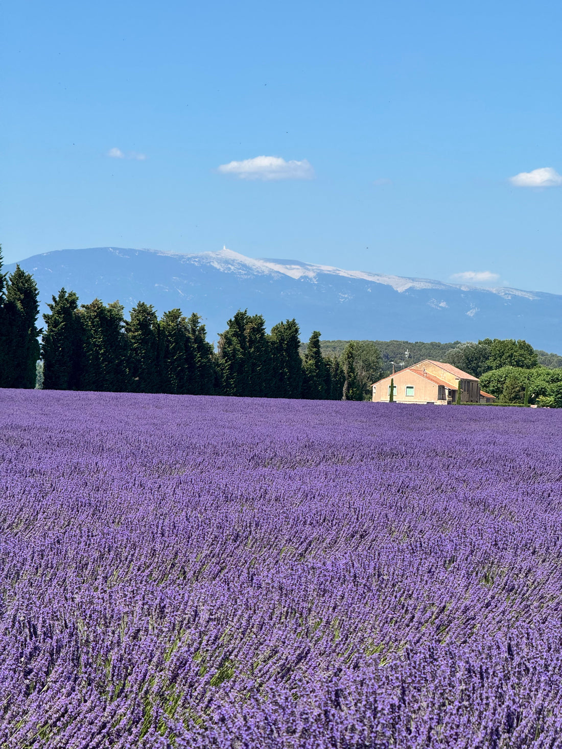 Five Days in France: How We Source Antiques