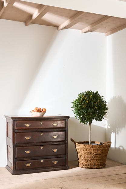 18th century Solid oak chest of drawers
