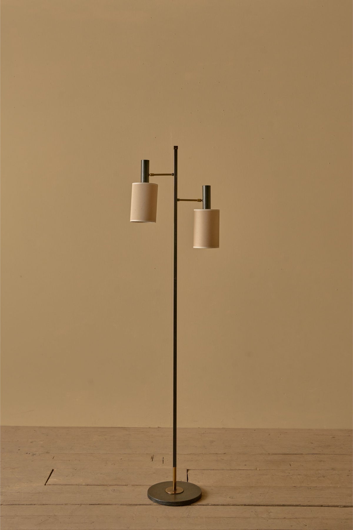 Mid 20th century black metal and brass 2 arm floor lamp