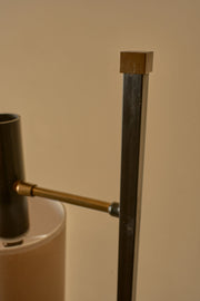 Mid 20th century black metal and brass 2 arm floor lamp