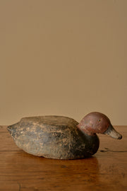 Early 20th century Decoy duck - No4