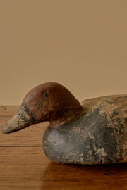 Early 20th century Decoy duck - No4