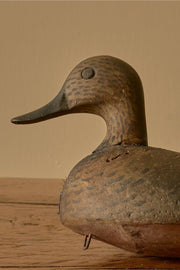 Early 20th century Decoy duck - No5