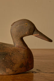 Early 20th century Decoy duck - No6