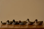 Early 20th century Decoy duck - No4
