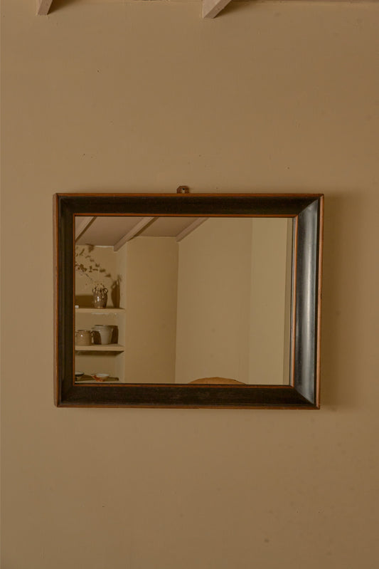 Early 19th century Italian two tone ebonised box mirror - No4