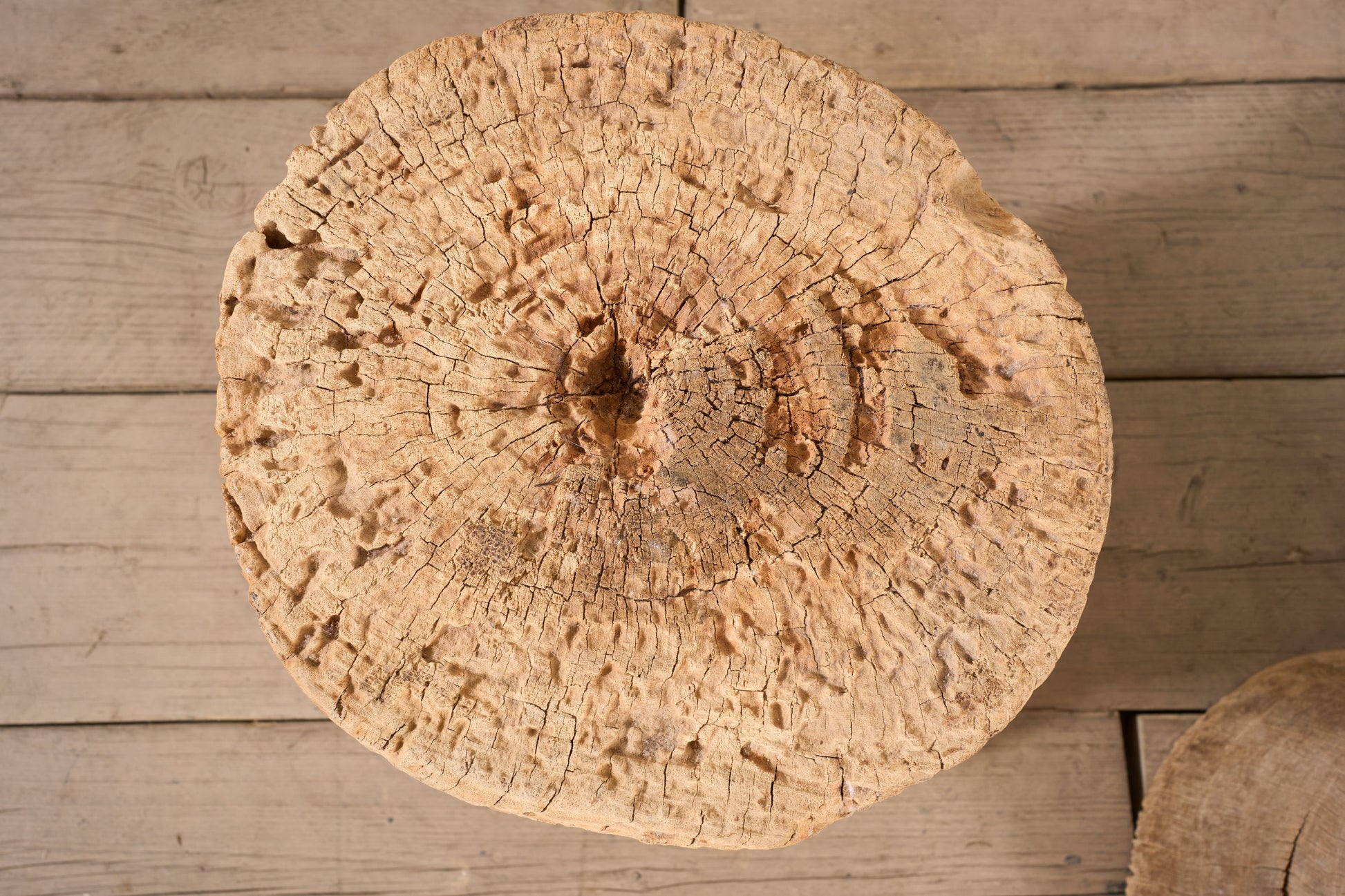 Pair of 19th century Rustic wood side tables - TallBoy Interiors