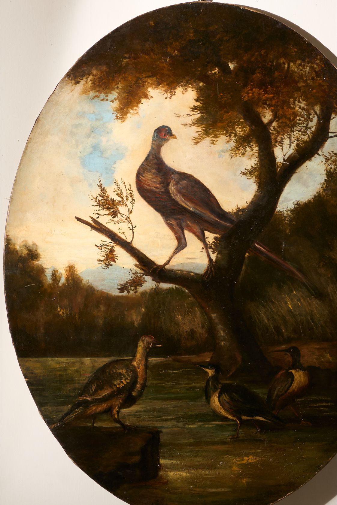 19th Century Very large oval oil on canvas painting of birds - TallBoy Interiors