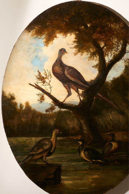 19th Century Very large oval oil on canvas painting of birds - TallBoy Interiors