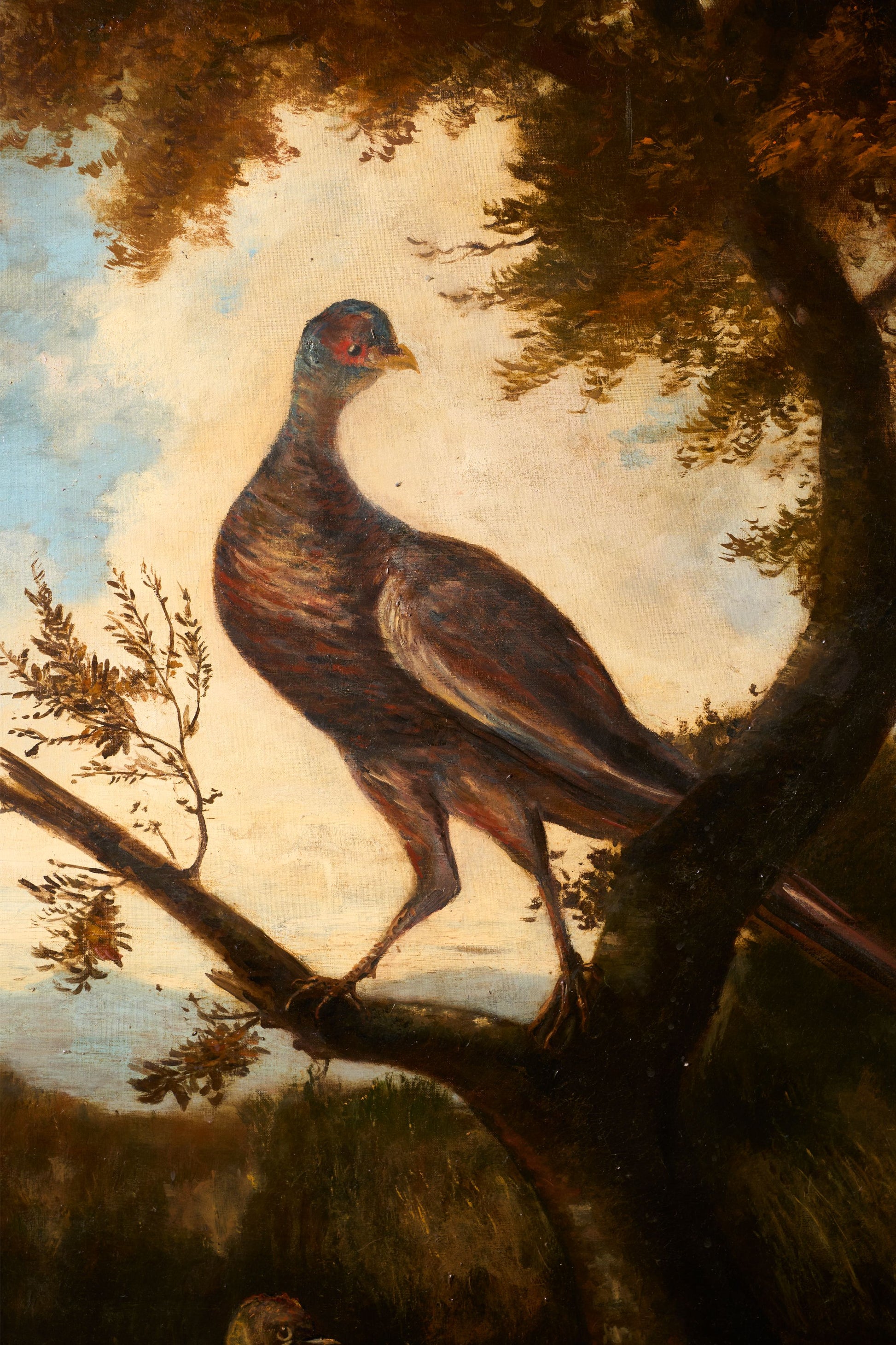 19th Century Very large oval oil on canvas painting of birds - TallBoy Interiors