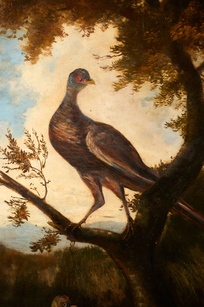 19th Century Very large oval oil on canvas painting of birds - TallBoy Interiors