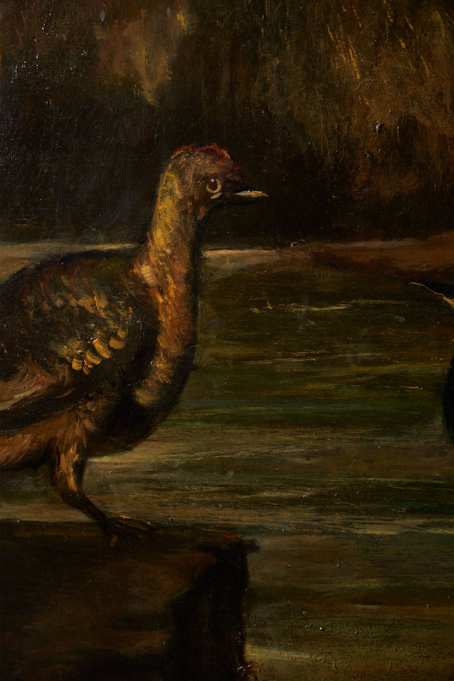 19th Century Very large oval oil on canvas painting of birds - TallBoy Interiors