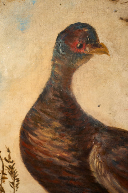 19th Century Very large oval oil on canvas painting of birds - TallBoy Interiors