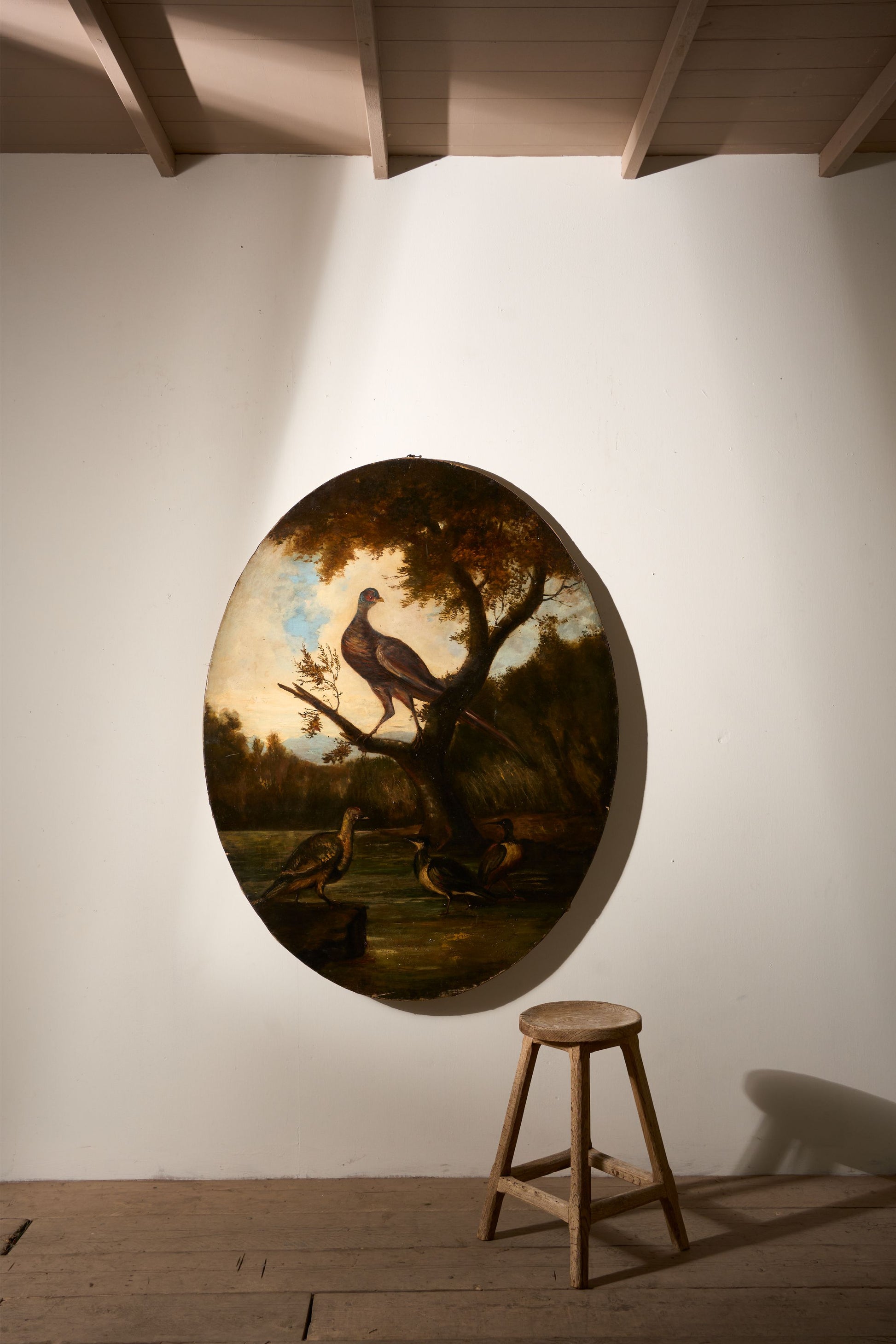 19th Century Very large oval oil on canvas painting of birds - TallBoy Interiors