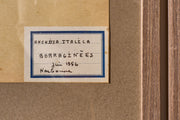 Set of 5 20th century framed Herbarium pages - TallBoy Interiors