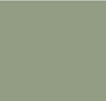 Fern