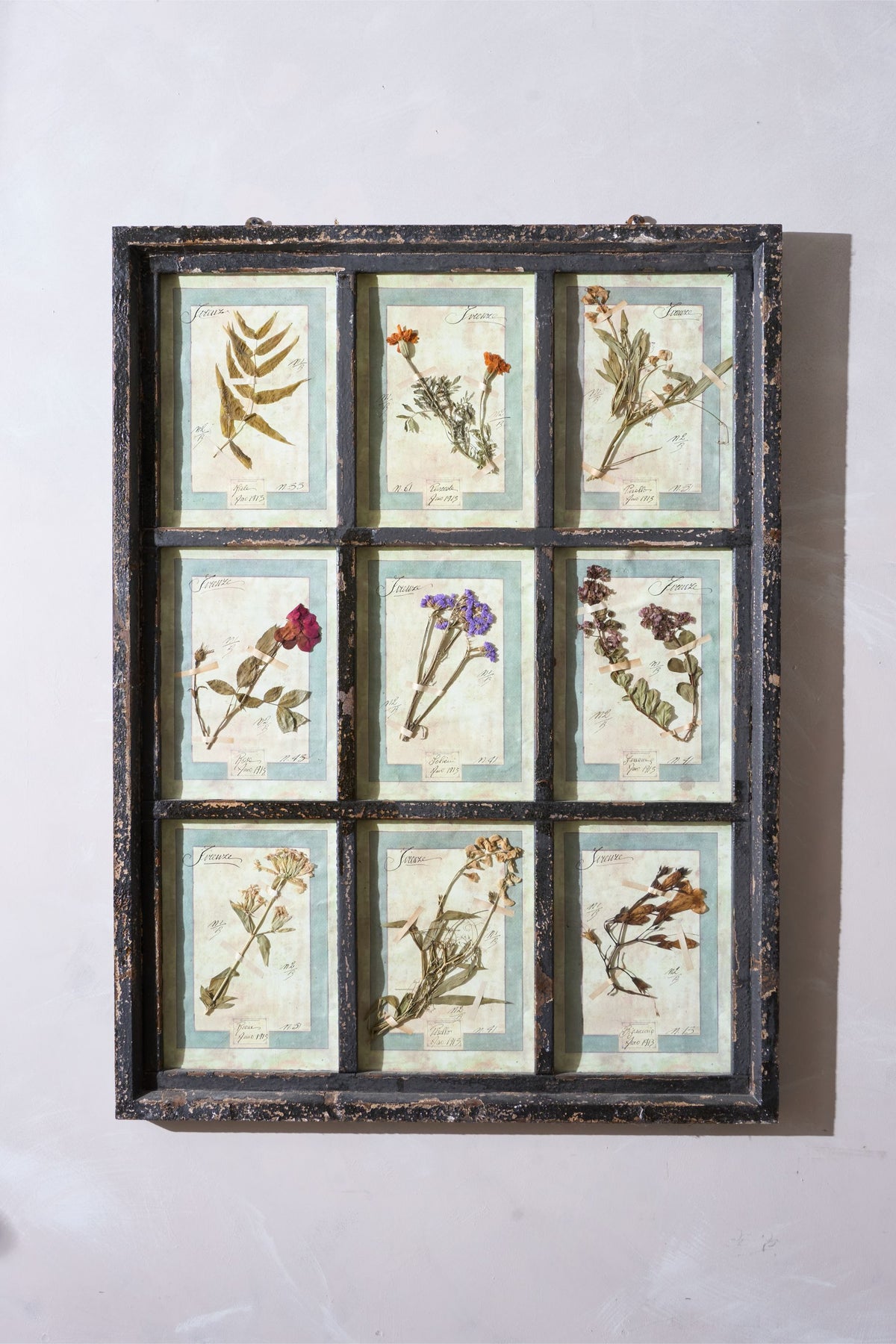 Large Italian Herbarium Plant study frame - No 1 - TallBoy Interiors