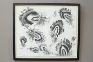 21st century Charcoal and chalk artwork - Feathers 1