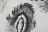 21st century Charcoal and chalk artwork - Feathers 1