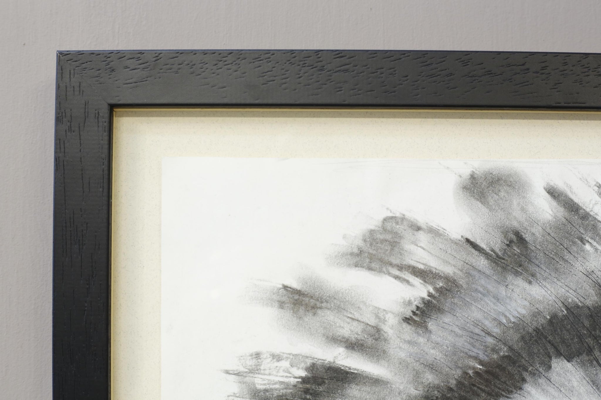 21st century Charcoal and chalk artwork - Feathers 1