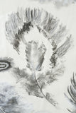 21st century Charcoal and chalk artwork - Feathers 2