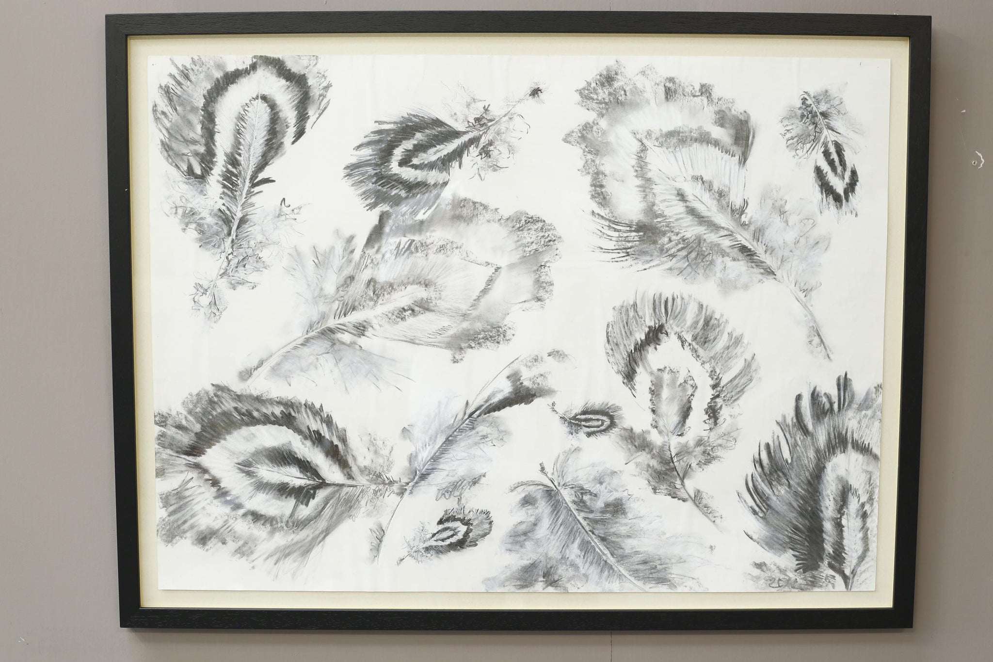 21st century Charcoal and chalk artwork - Feathers 2