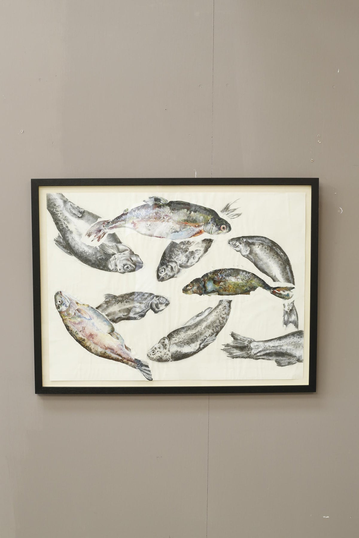 21st century oil, chalk and charcoal artwork - Rainbow Trout - TallBoy Interiors