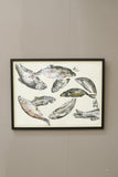 21st century oil, chalk and charcoal artwork - Rainbow Trout