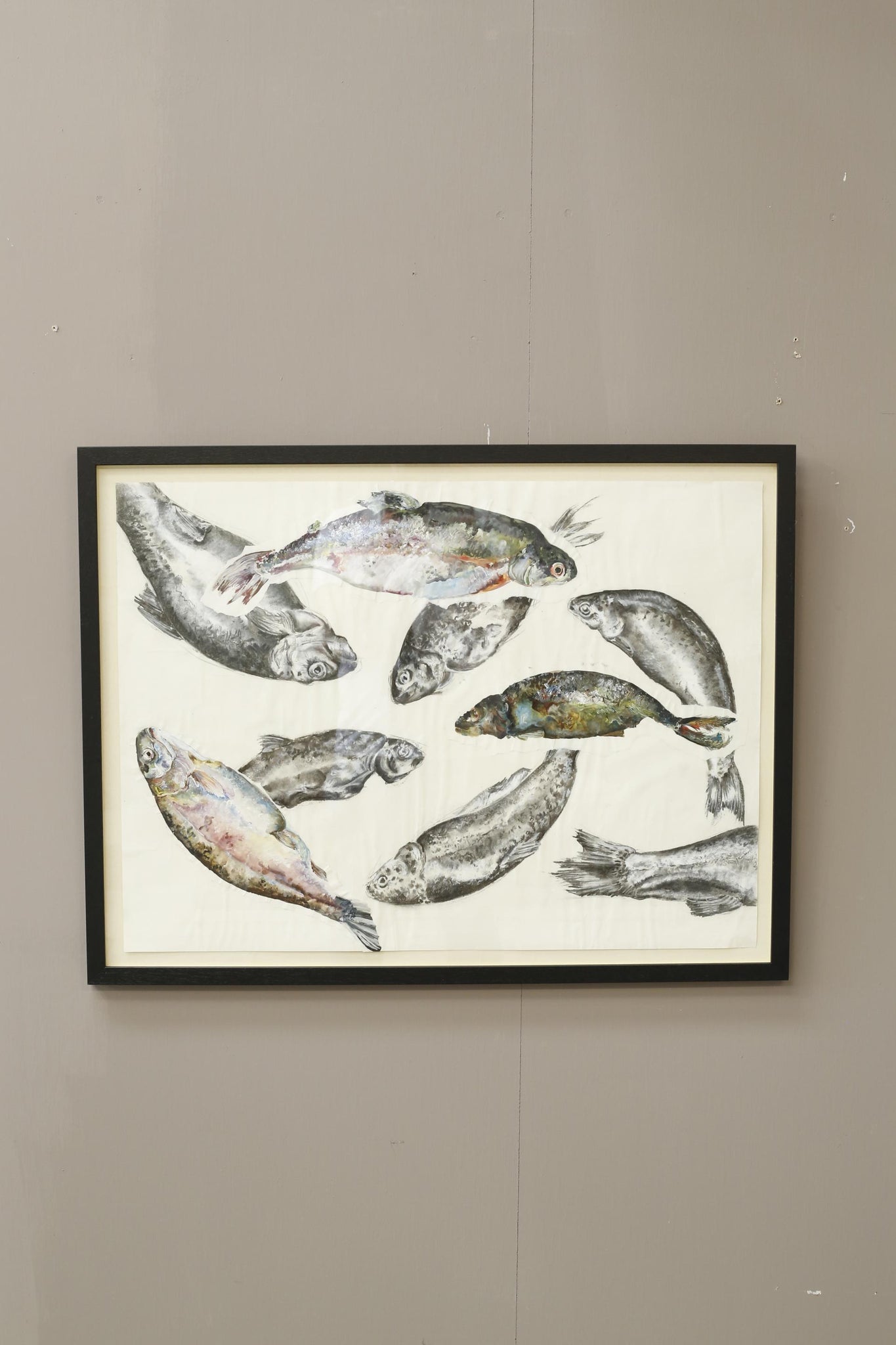 21st century oil, chalk and charcoal artwork - Rainbow Trout