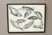 21st century oil, chalk and charcoal artwork - Rainbow Trout - TallBoy Interiors