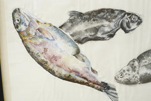 21st century oil, chalk and charcoal artwork - Rainbow Trout