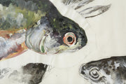 21st century oil, chalk and charcoal artwork - Rainbow Trout - TallBoy Interiors