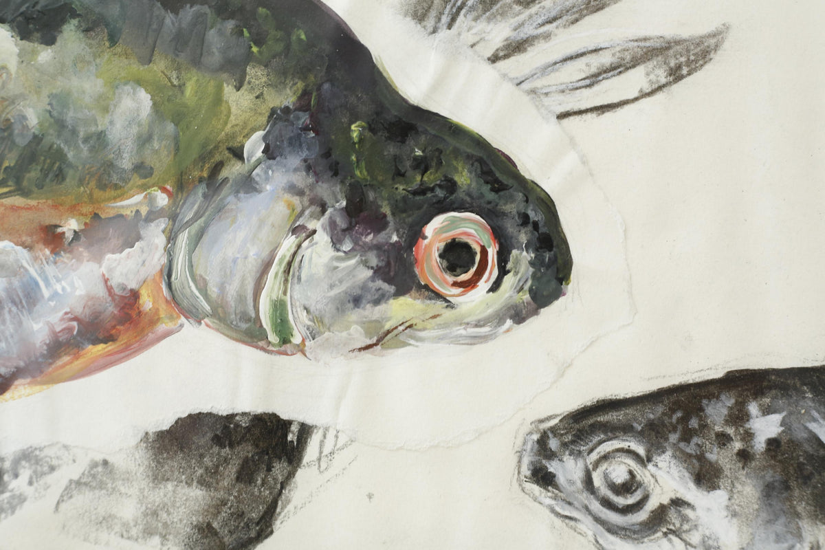 21st century oil, chalk and charcoal artwork - Rainbow Trout - TallBoy Interiors