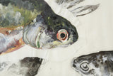 21st century oil, chalk and charcoal artwork - Rainbow Trout