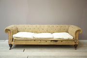 Huge proportioned Victorian chesterfield sofa - TallBoy Interiors