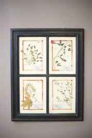20th Century Herbarium Quad frame No2 - TallBoy Interiors