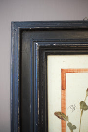 20th Century Herbarium Quad frame No2 - TallBoy Interiors