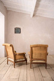 Pair of 19th century French armchairs with carved frame