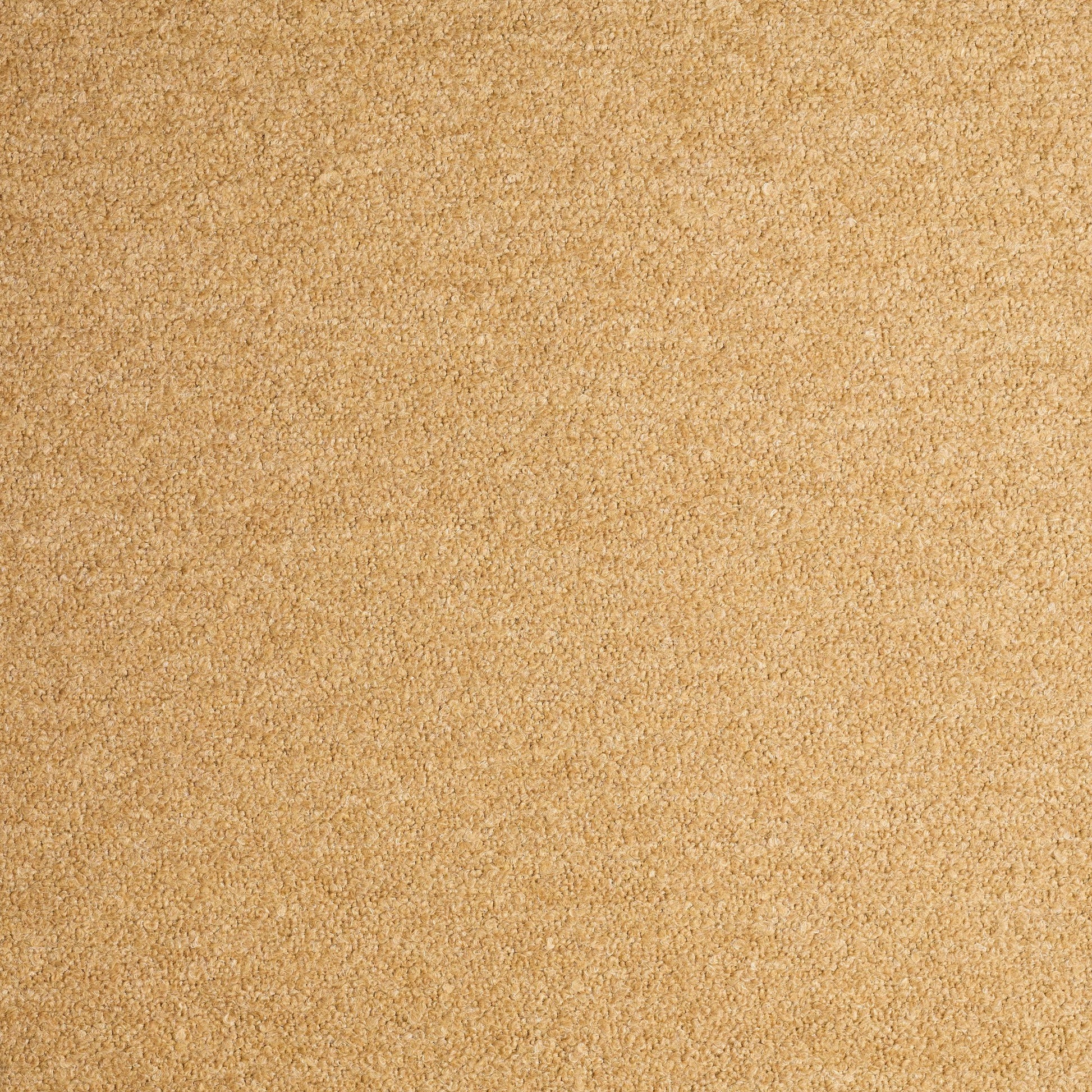 Boccolo - Grano - TallBoy Interiors