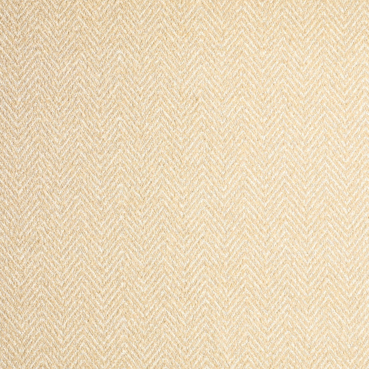 Spigato - TallBoy Interiors
