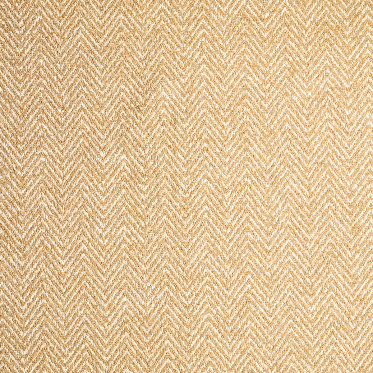 Spigato