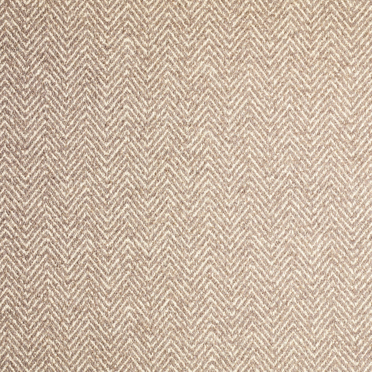Spigato - TallBoy Interiors