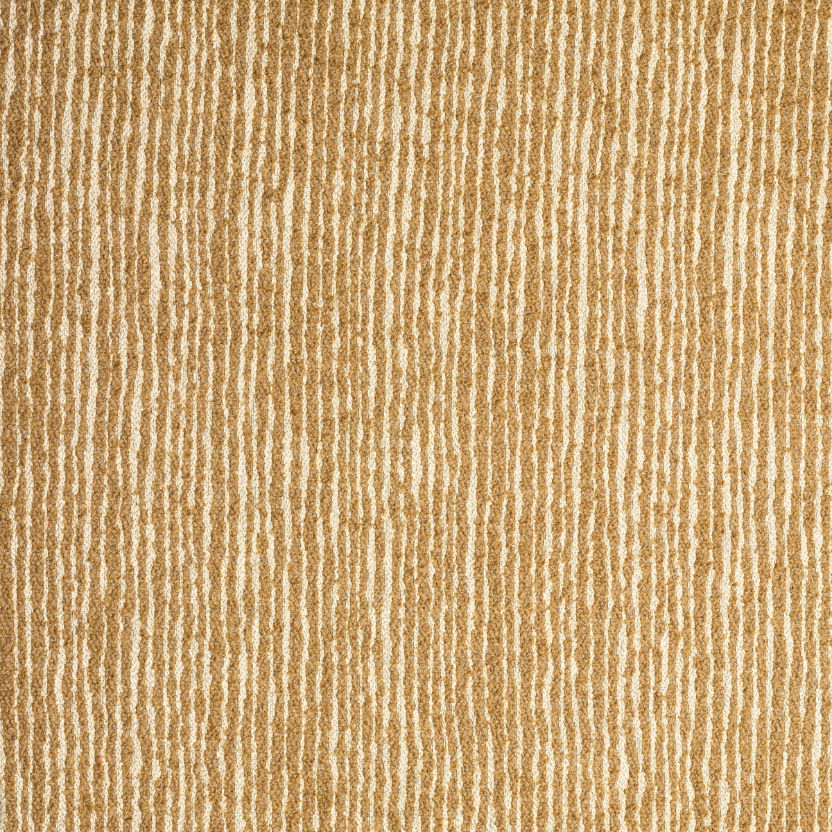 Ondulata