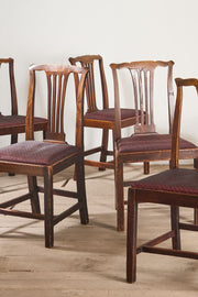 Set of 9 country dining chairs in Oak and Elm - TallBoy Interiors