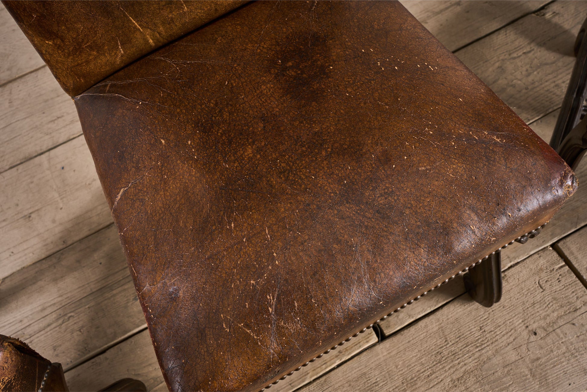 Set of 6 19th century Spanish leather dining chairs - TallBoy Interiors